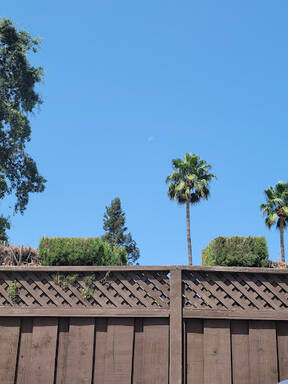 community home thumb