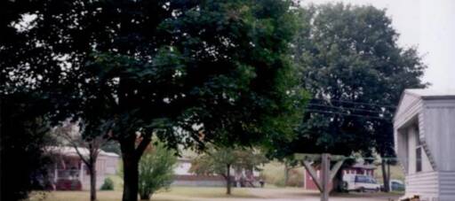 community home thumb