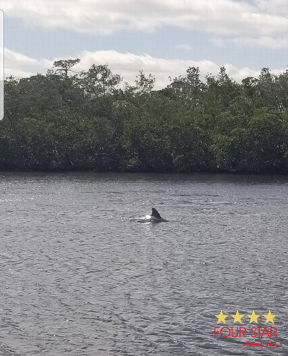 Palmetto, FL