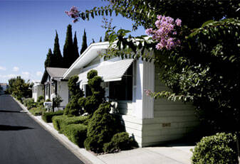 community home thumb