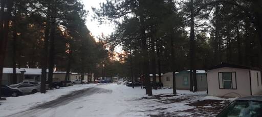 community home thumb