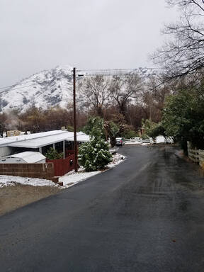 community home thumb