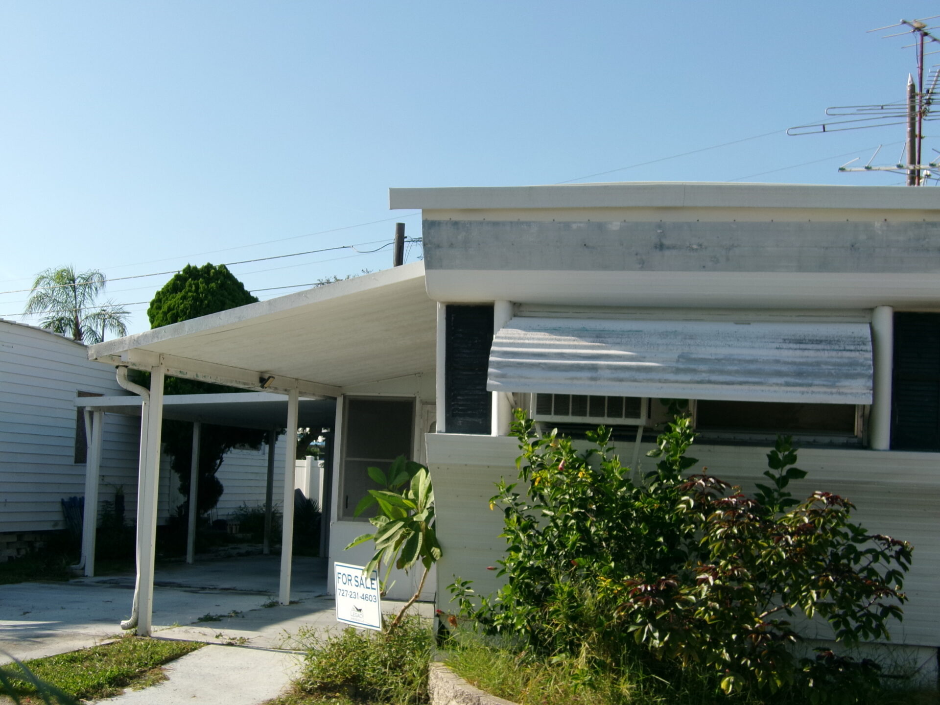 St Petersburg, FL