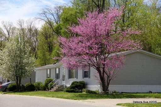 community home thumb