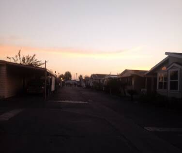 community home thumb