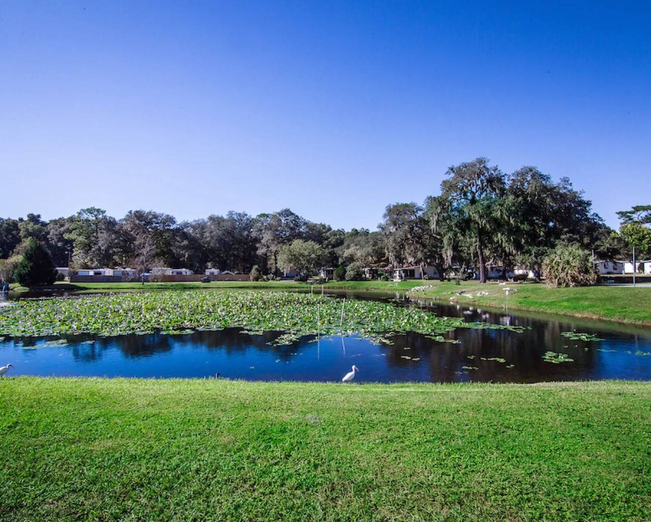 Ocala, FL