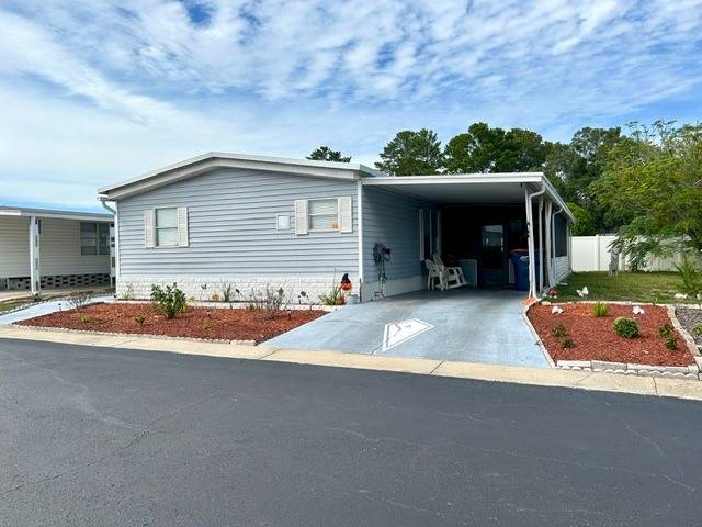 New Port Richey, FL