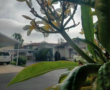 community home thumb