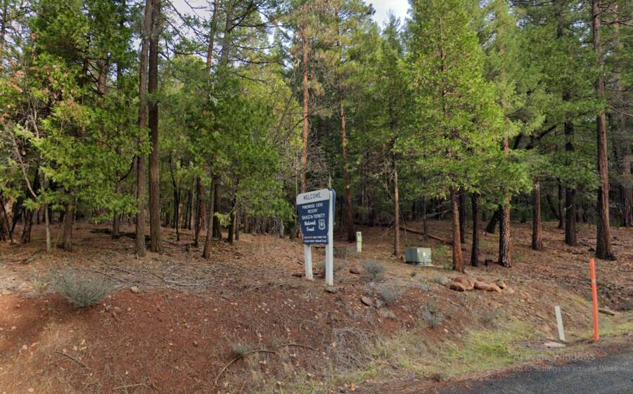 Pinewood Cove Resort | 45110 State Hwy 3, Trinity Center, CA 96091 ...