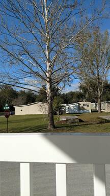 community home thumb