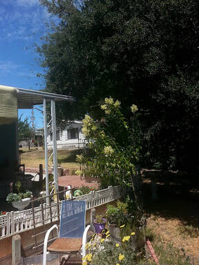 community home thumb