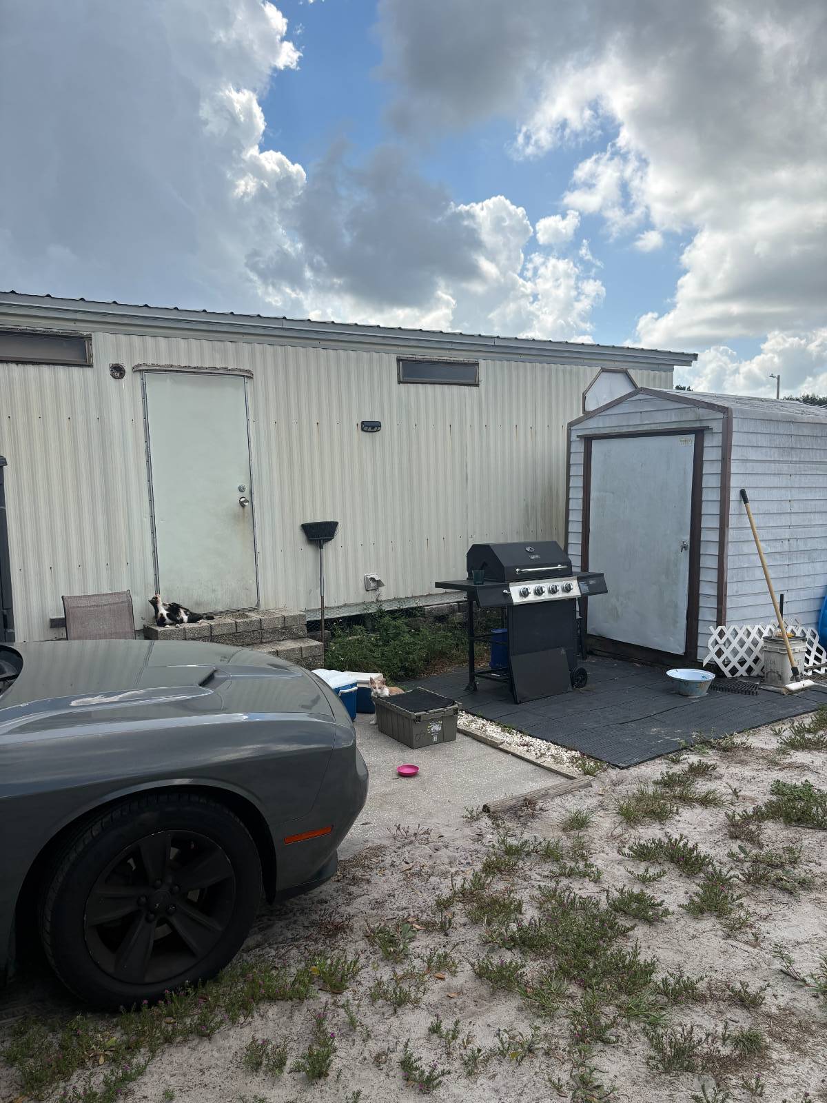 Mulberry, FL