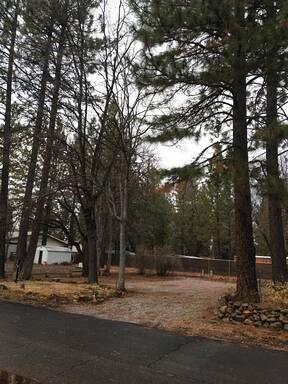 community home thumb