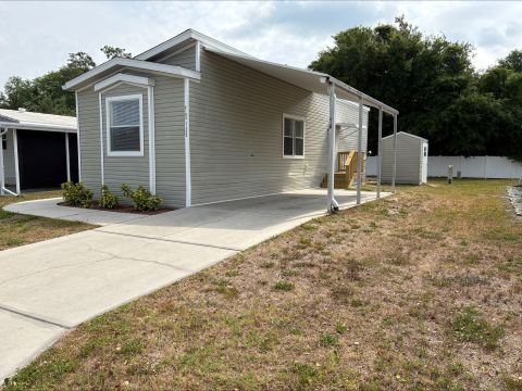 New Port Richey, FL