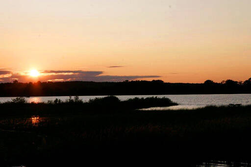 community home thumb