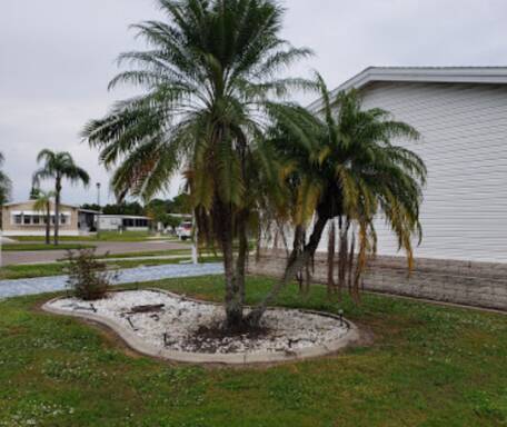 community home thumb