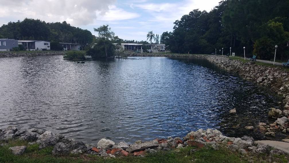 NEW PORT RICHEY, FL
