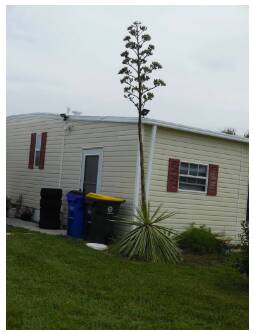 community home thumb