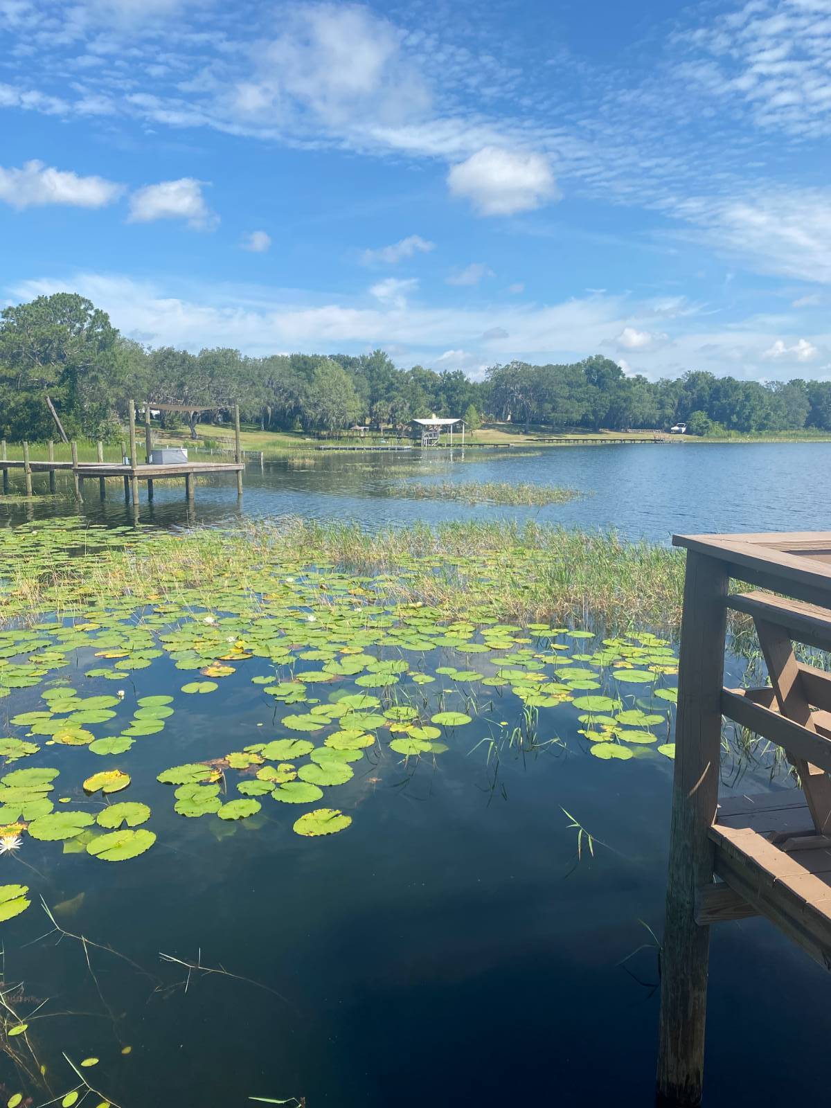 Belleview, FL