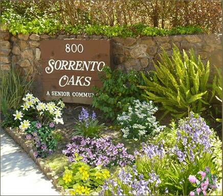 community home thumb