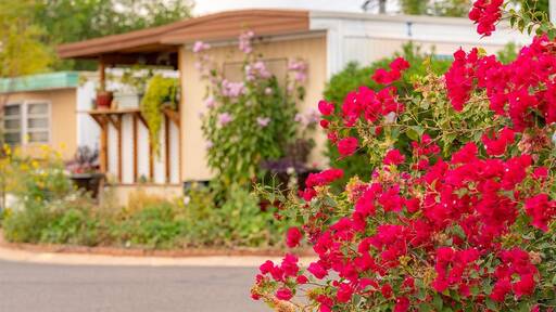 community home thumb