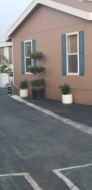 community home thumb