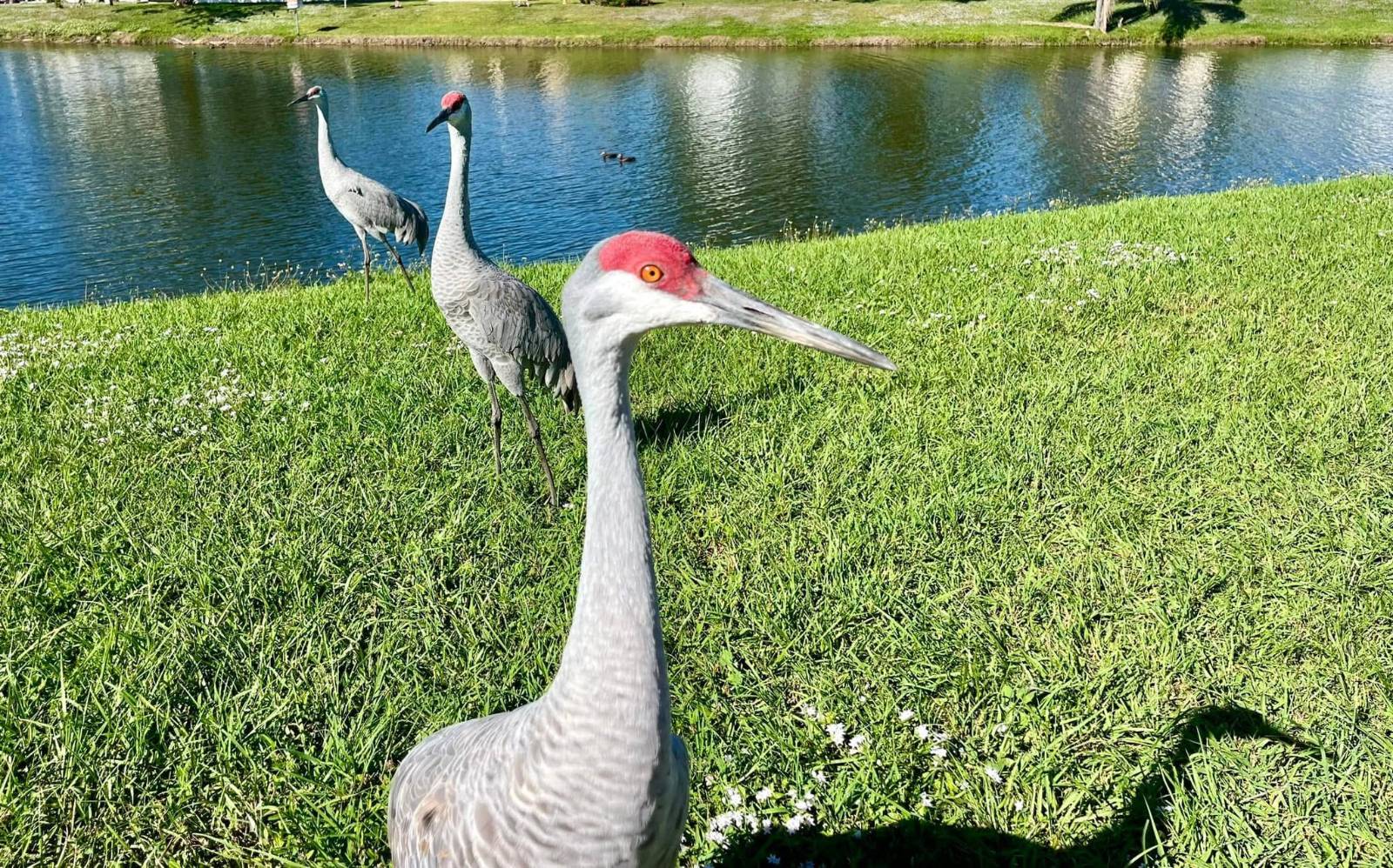 FORT PIERCE, FL