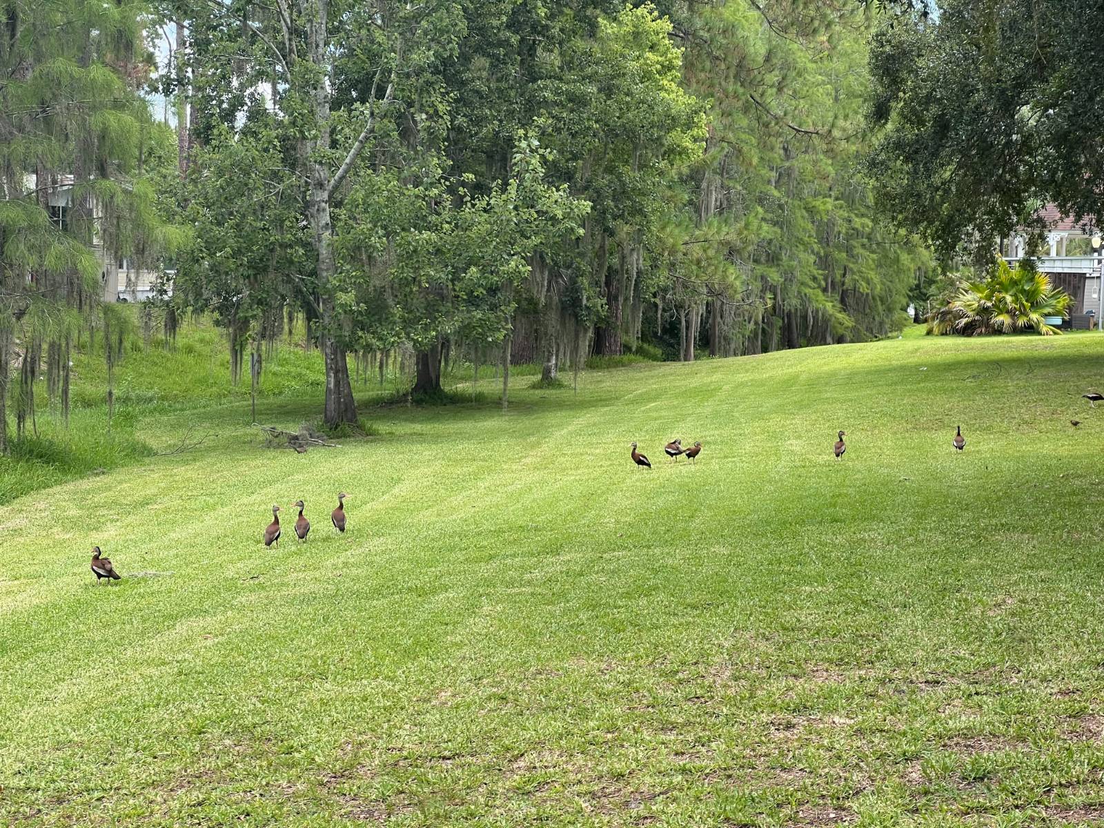 Kissimmee, FL
