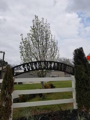 community home thumb