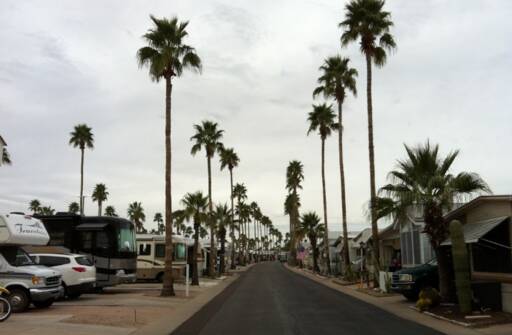 community home thumb