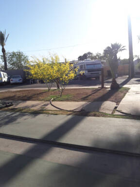 community home thumb