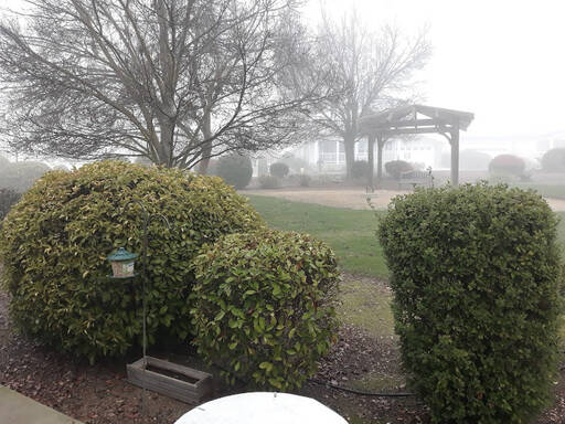 community home thumb