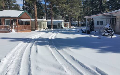 community home thumb