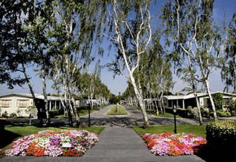 community home thumb