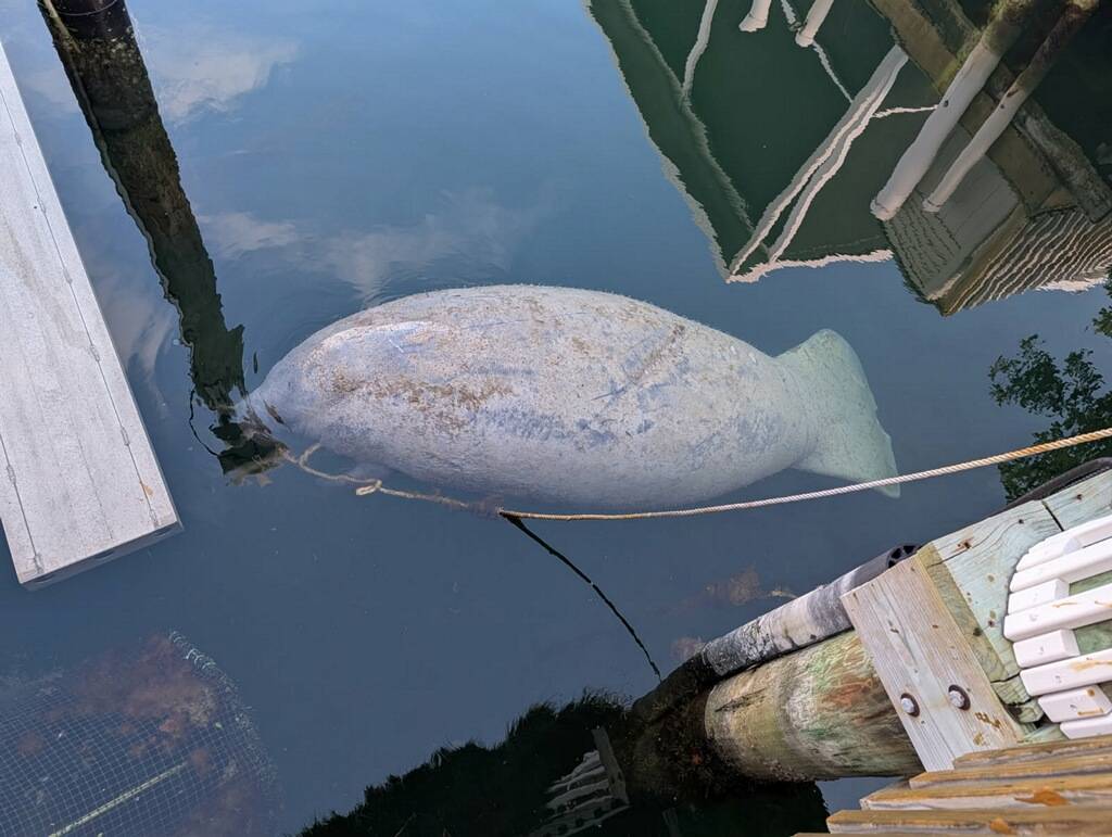 Marathon, FL