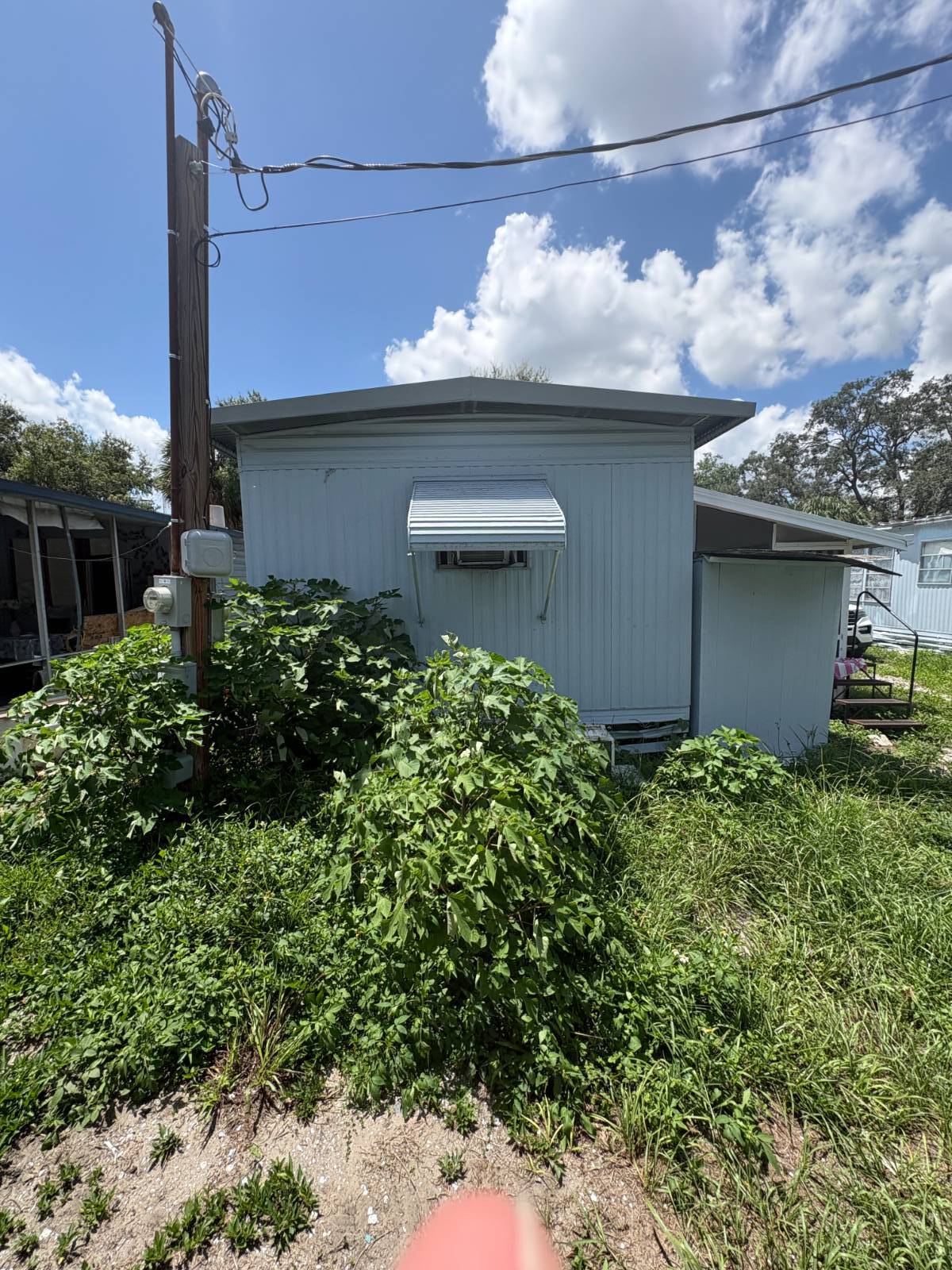 Tampa, FL