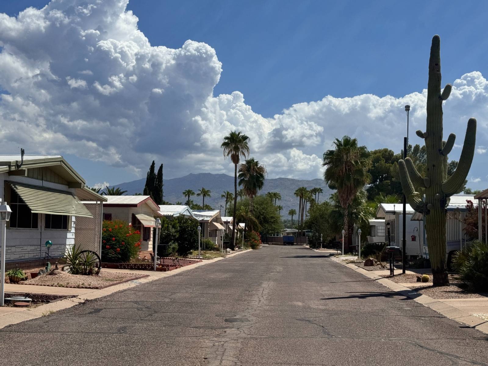 Tucson, AZ