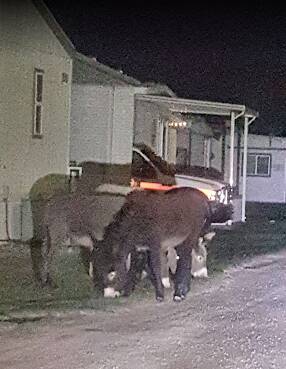 community home thumb