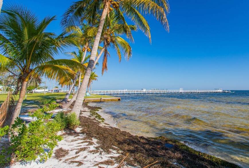 Bokeelia, FL