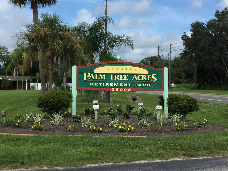 Palm Tree Acres 36006 State Road 54 West, Zephyrhills, FL 33541