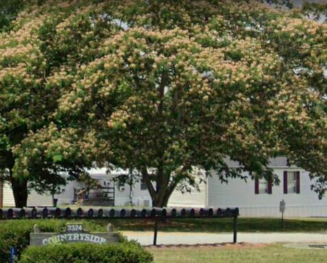 community home thumb