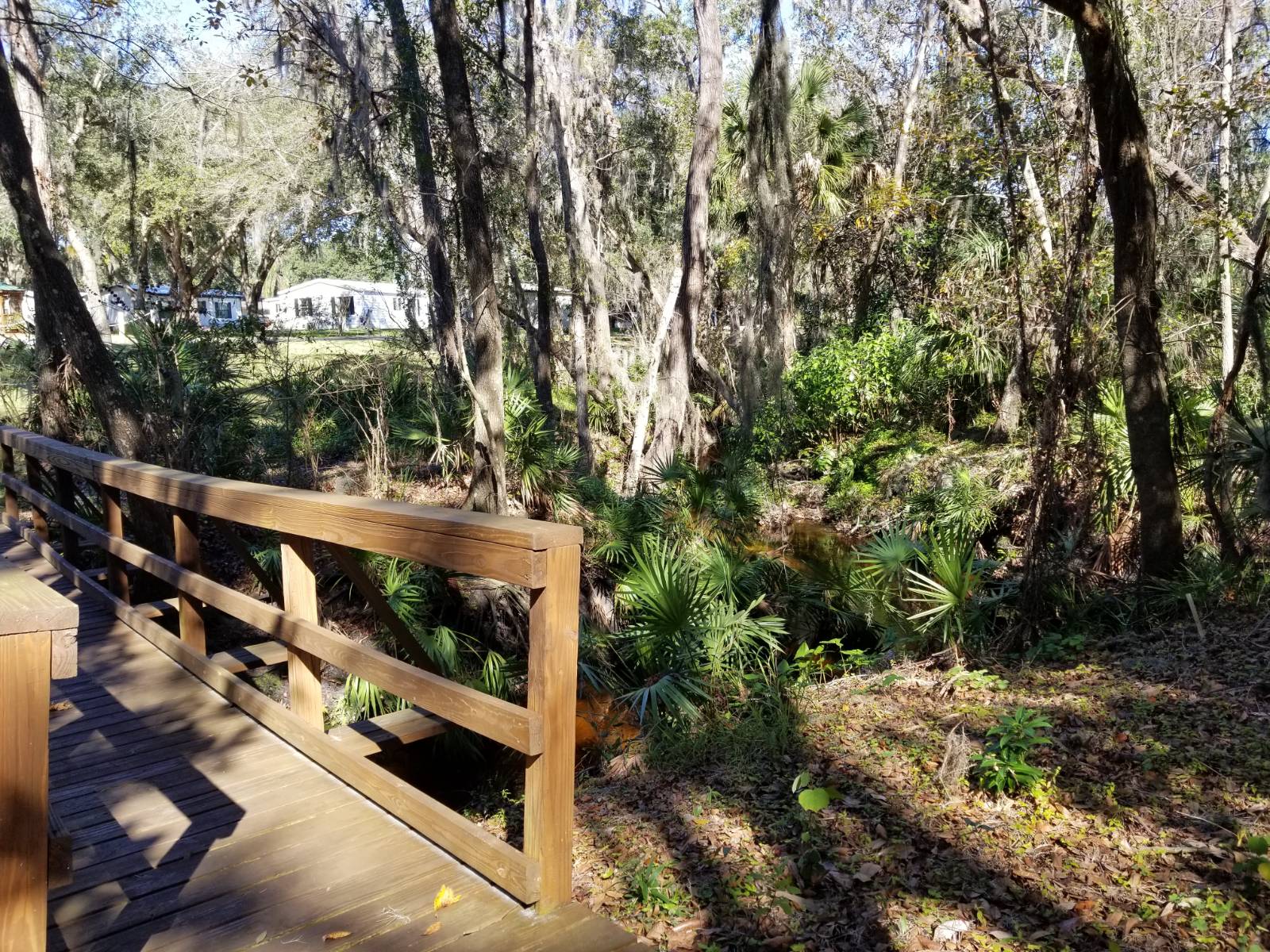 Riverview, FL