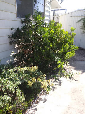 community home thumb