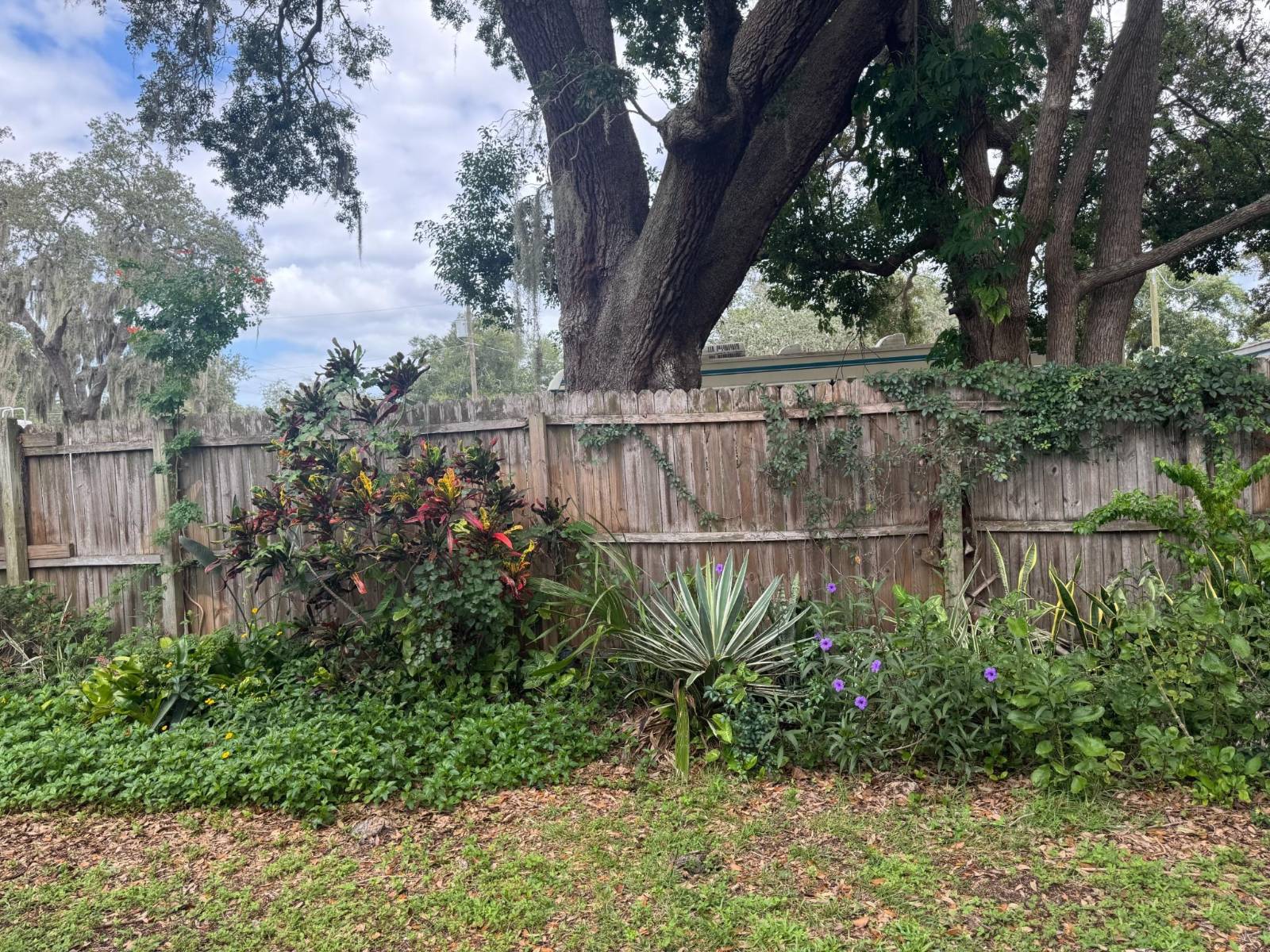 Holiday, FL