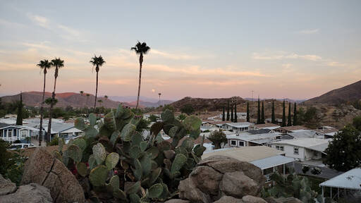 community home thumb