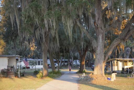 community home thumb