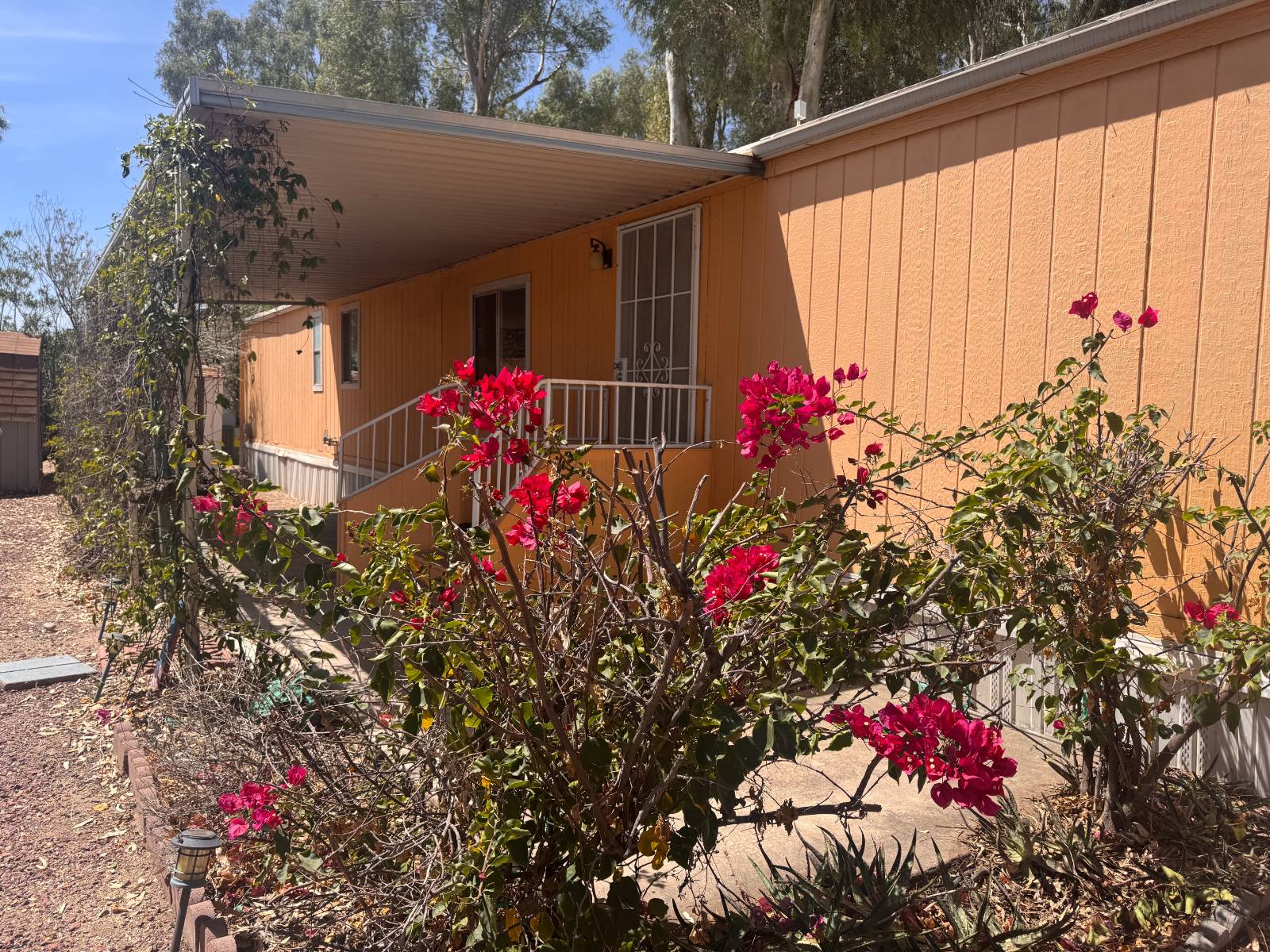 Tucson, AZ