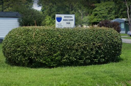 community home thumb