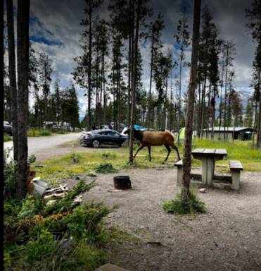 community home thumb