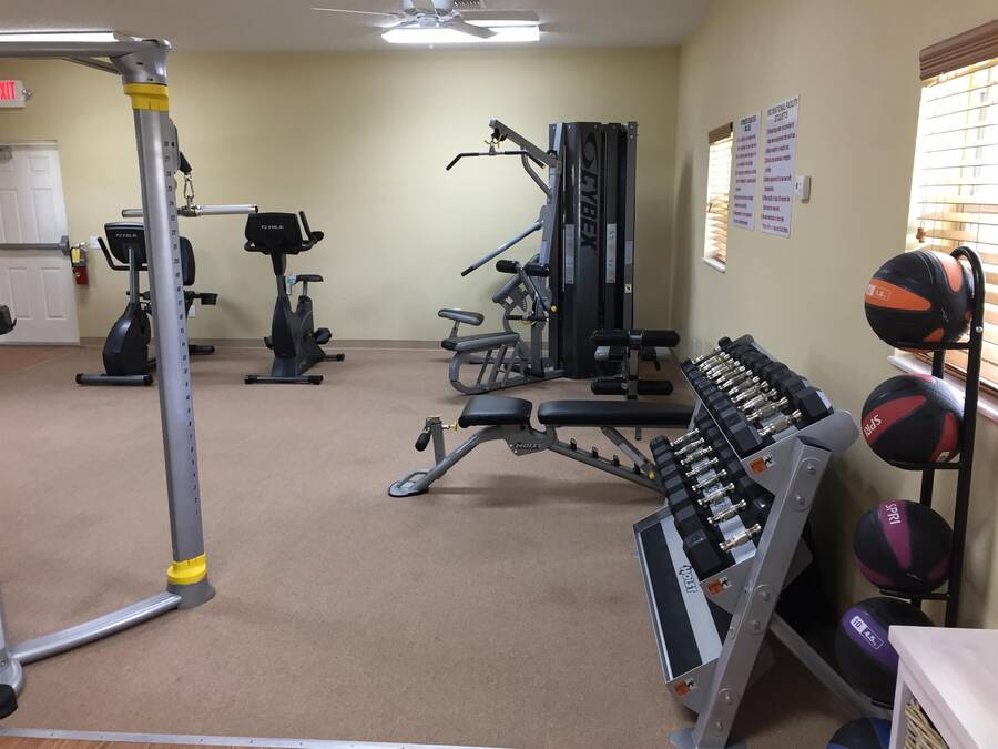 Palm Tree Acres 36006 State Road 54 West, Zephyrhills, FL 33541